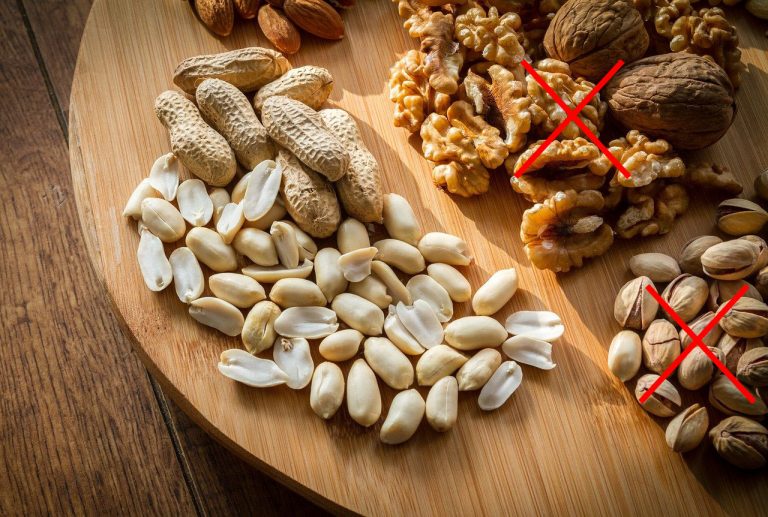 Are nuts bad for dogs and what nuts you can give to your dog.